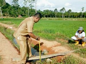 Proyek Swakelola Pertanian Mukomuko Belum Dikerjakan