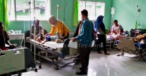 Turun Tanam Padi, Ratusan Warga Lubuk Gading Keracunan