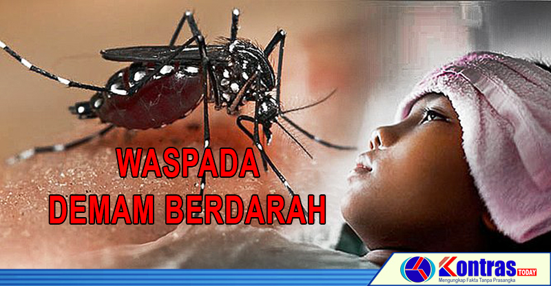 Kasus DBD di Lebong Meningkat Drastis, Ini Himbauan Dinkes