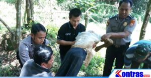 Trgagedi Lubang Maut Di Padang Jaya, Kekek Tarsoni Tewas Terperosok