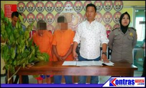 2 Perambah Hutan Lindung Diamankan, Elang Dan Siamang Akan Dilepas Liarkan