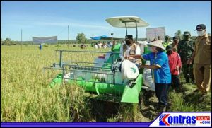 Bupati Mian Lakukan Panen Raya Padi di Kecamatan Marga Sakti Sebelat