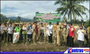Bupati Mian Dukung Potensi Baru Jagung VUB