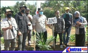 Masa Kepemimpinan Bupati Mian, Warga Tanjung Putus Dapat Program Replanting Sawit