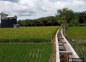 PUPR BU Perbaiki Irigasi Air Kesik Guna Dukung Sektor Pertanian