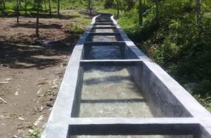 PSDA Dinas PUPR BU Perbaiki Saluran Irigasi Air Nokan Lubuk Saung