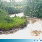 Diduga Akibat Aktifitas Tambang Batubara PT. PMN, Air Sungai Tercemar