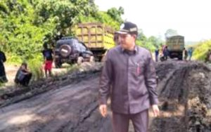 Atas Kerusakan Jalan Provinsi Bengkulu, PT Injatama Harus Bertanggung Jawab