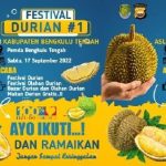 Pertengahan Bulan Ini Pemkab Benteng Buka Festival Durian