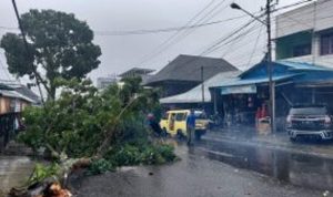Pohon Tumbang, Tiang listrik dan Telepon Roboh, 1 Orang Dikabarkan Meninggal