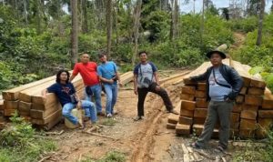 Tersangka Berikut Puluhan Kubik Kayu Pembalakan Liar Diamankan Polisi