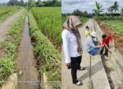 Agar Terpenuhi Kebutuhan Air Untuk Pertanian, DTPHP Bengkulu Utara Bangun 12 Jaringan Irigasi
