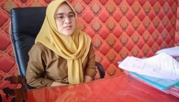 Karena APBD 2024 Belum Selesai Dievaluasi, RSUD Arga Makmur Gunakan Dana BLUD Sebagai Solusi Menunjang Pelayanan