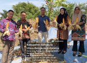 Wujudkan Ketahanan Pangan, Pemdes Pagar Ruyung Bersama Masyarakat Lakukan Panen Raya Jagung