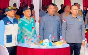 Ketua DPRD Bengkulu Utara Hadir Dalam Kegiatan Panen Raya Jagung di Desa Tanah Hitam